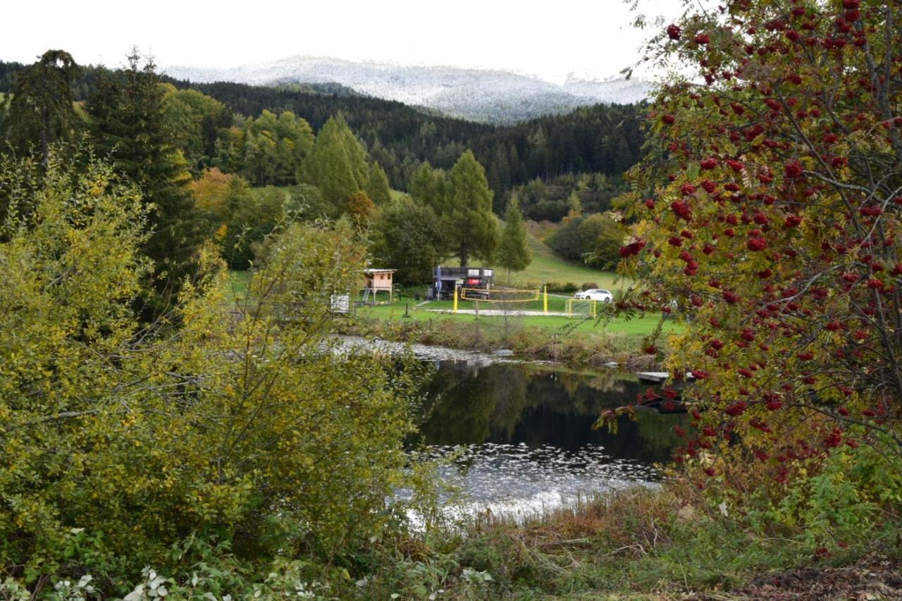 Ferienwohnung Familie Pichler Neumarkt in Steiermark Ngoại thất bức ảnh