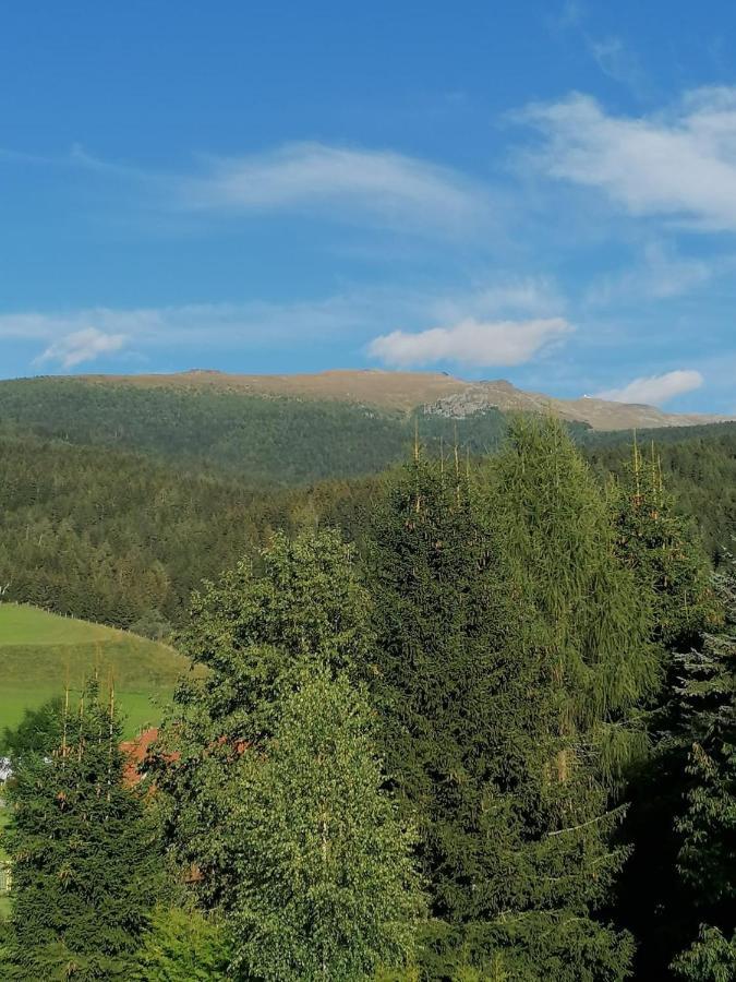 Ferienwohnung Familie Pichler Neumarkt in Steiermark Ngoại thất bức ảnh