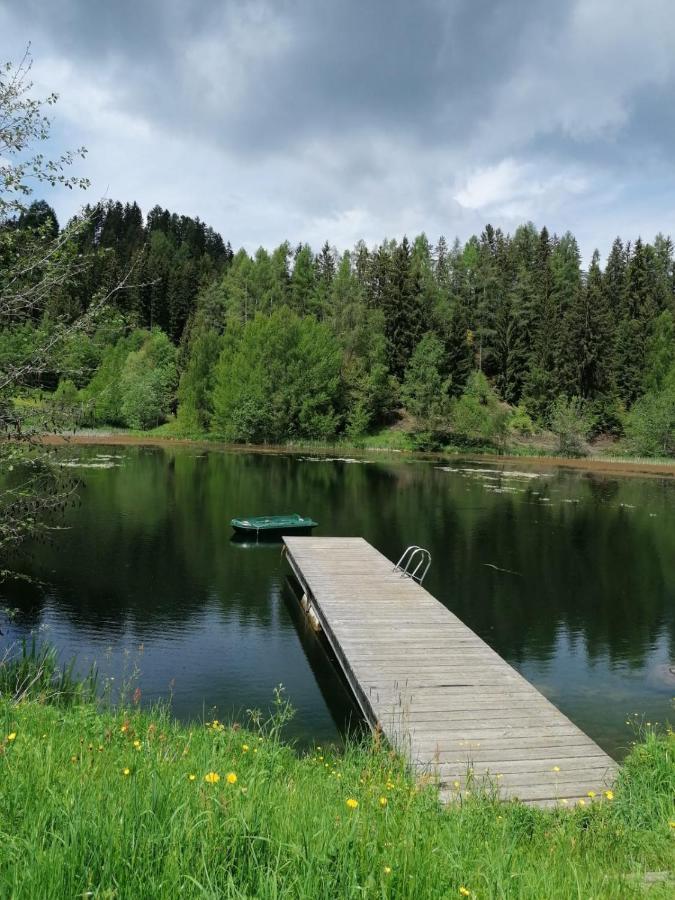 Ferienwohnung Familie Pichler Neumarkt in Steiermark Ngoại thất bức ảnh