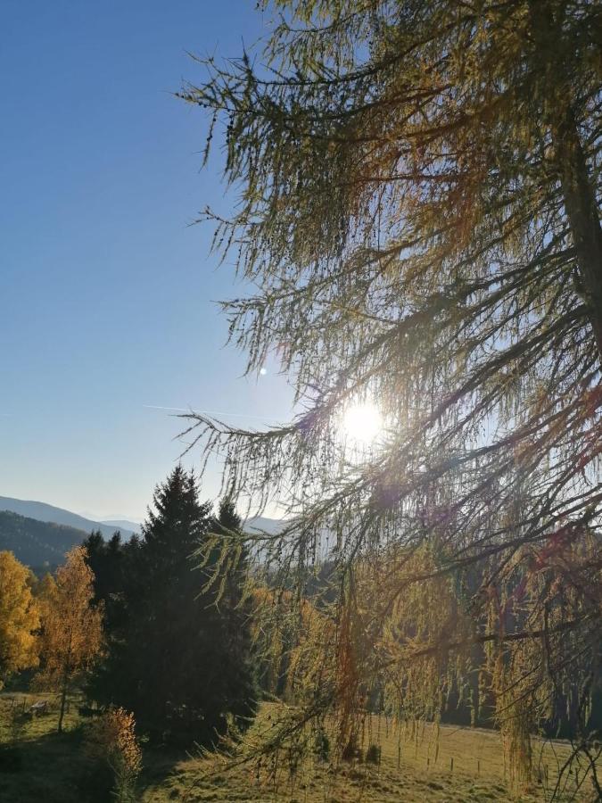 Ferienwohnung Familie Pichler Neumarkt in Steiermark Ngoại thất bức ảnh