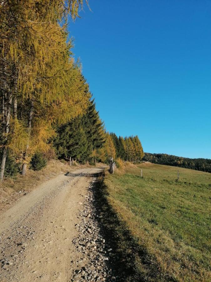 Ferienwohnung Familie Pichler Neumarkt in Steiermark Ngoại thất bức ảnh